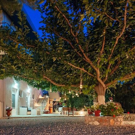 Dimitra Apartments Kandia Bagian luar foto