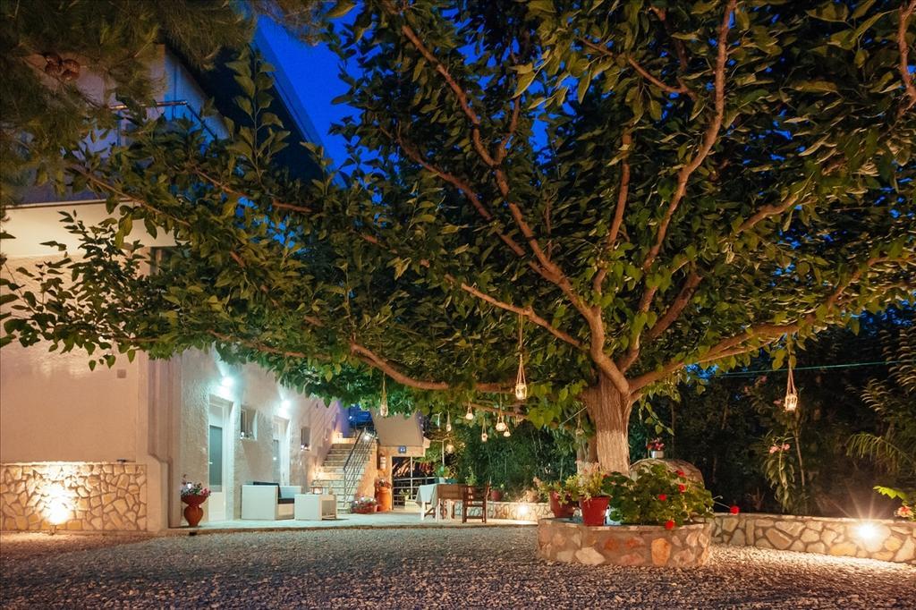 Dimitra Apartments Kandia Bagian luar foto